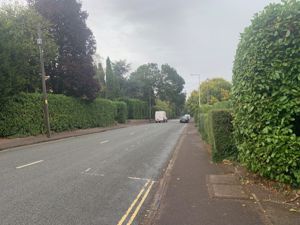 Photo 15- click for photo gallery